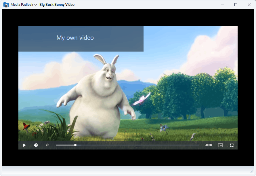 Media Padlock Viewer Playing Video
